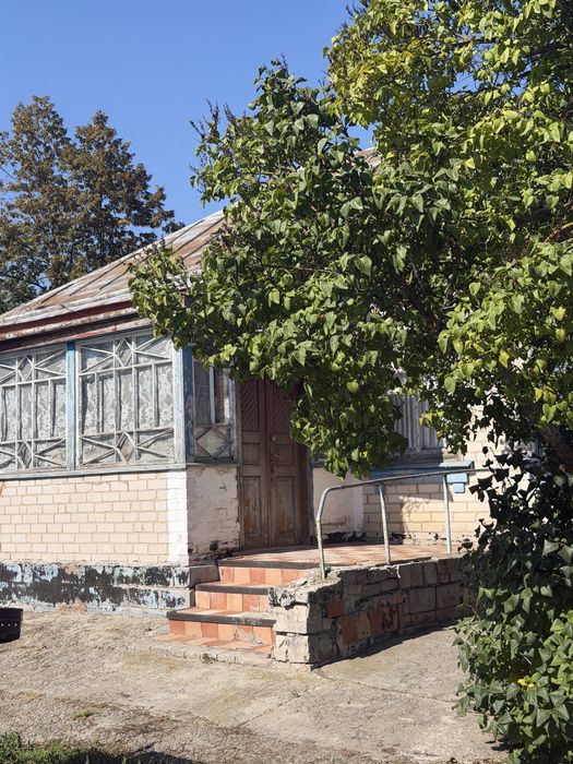 Продам будинок село Новий   Биків