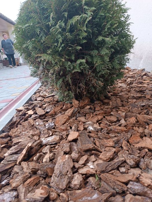 Кора соснова .Виробник .Супер ціни по доставці. Агроперліт