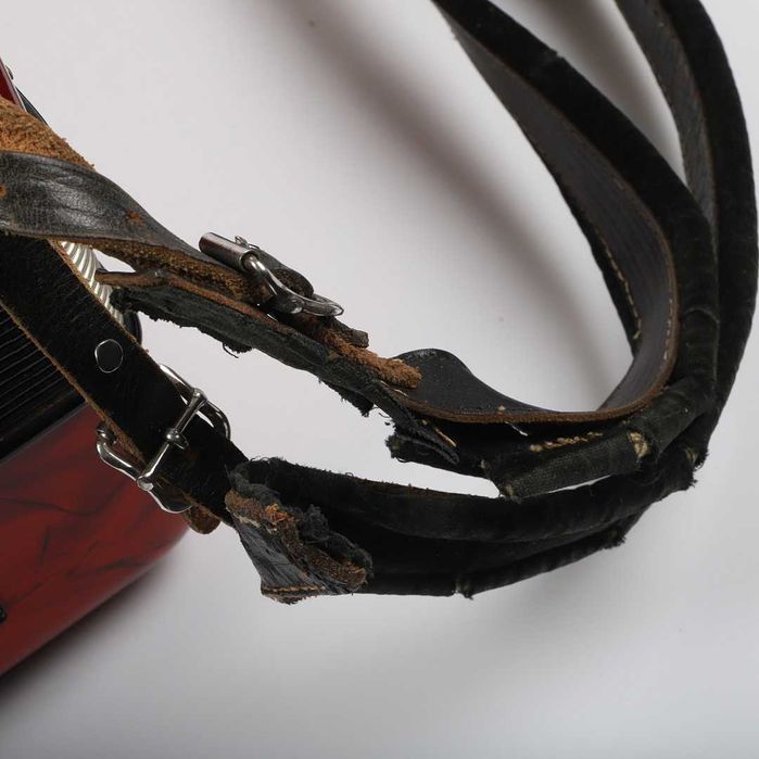 Akordeon "Accordia Minor"