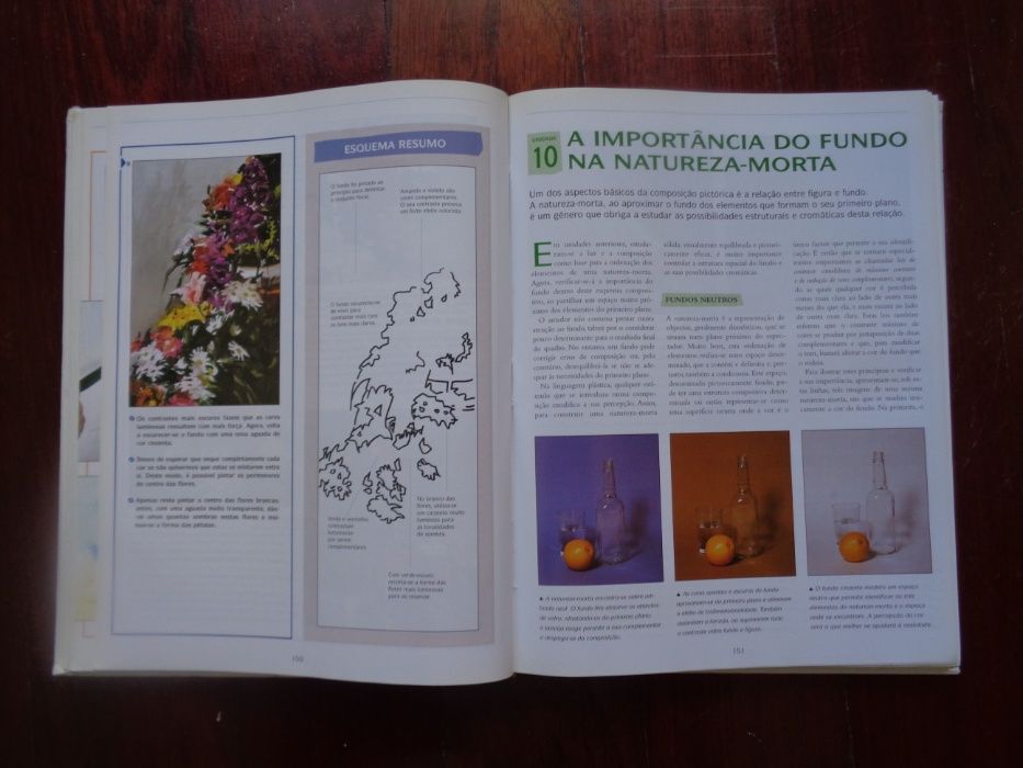 Curso Prático Desenho e Pintura - 25 videos e livros -Coleção COMPLETA