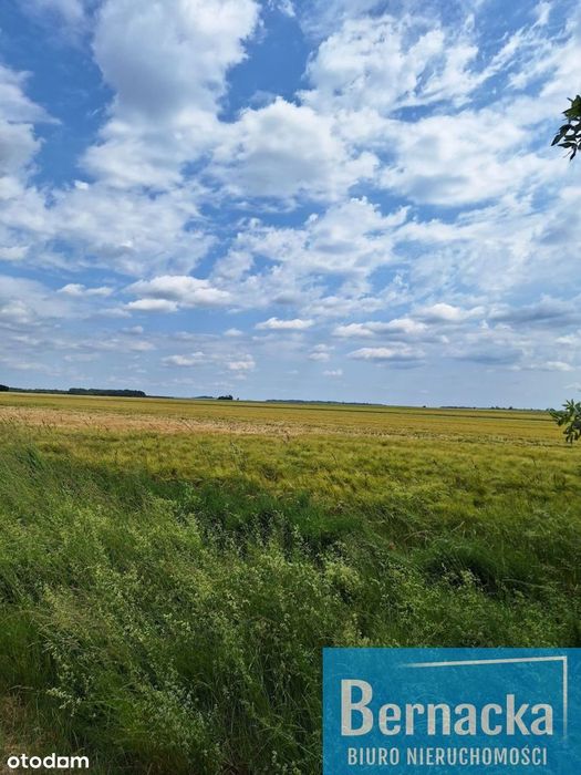 Działka budowlano-usługowa Rakoszyce