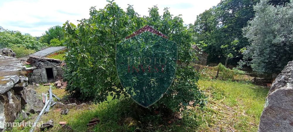 Terreno  Venda em Boa Aldeia, Farminhão e Torredeita,Viseu