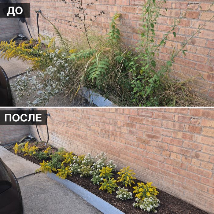 Покос травы,удаления соняков,перекопка палисадников,спил деревьев