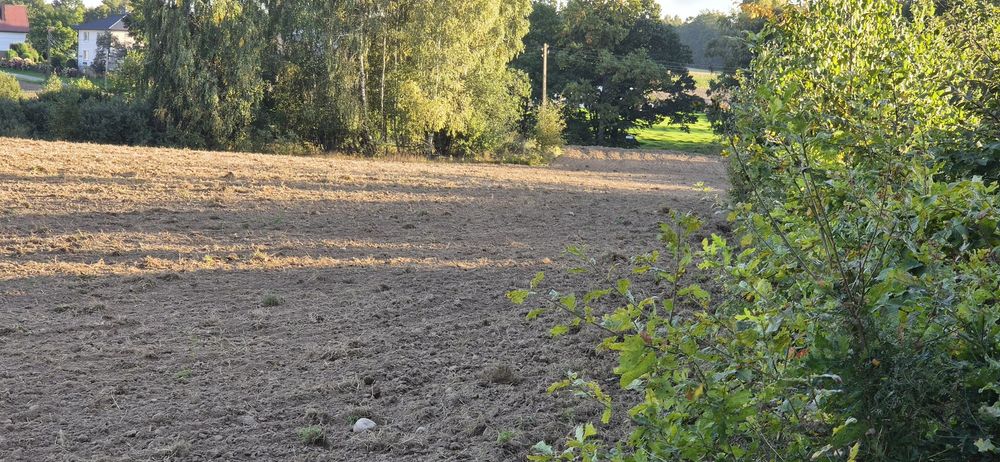 Sprzedam działki budowlane - Więcej