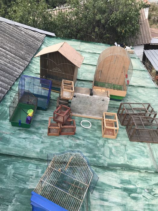 Клітки для птахів різного призначення та розміру