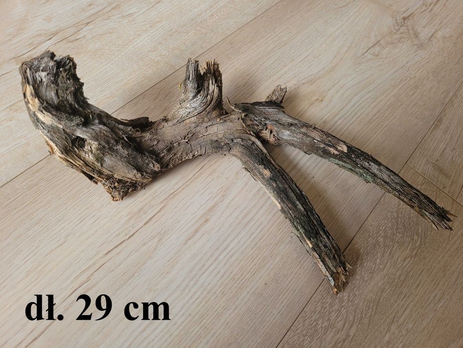 Duży naturalny korzeń do akwarium / terrarium - dł. 55 cm