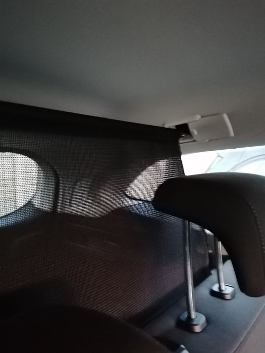 Siatka grodziowa/roleta do Forda Focusa kombi Mk3 z 2017r