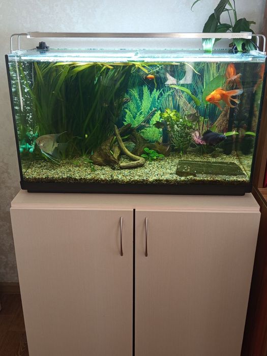 Комплектний акваріум 120л.