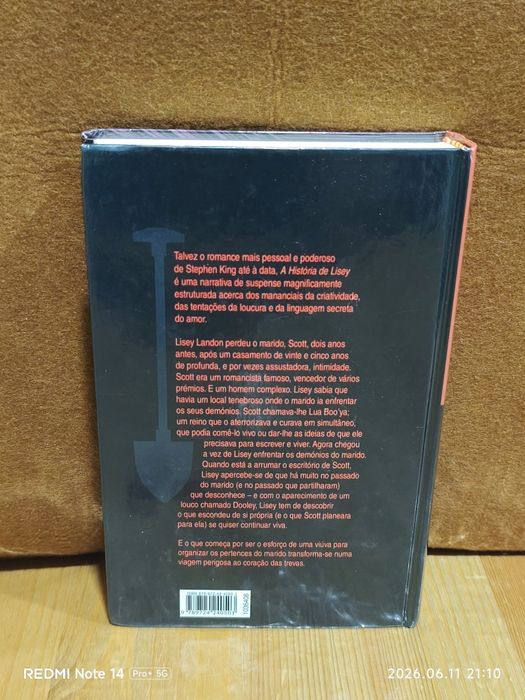 Stephen King A história de Lisey