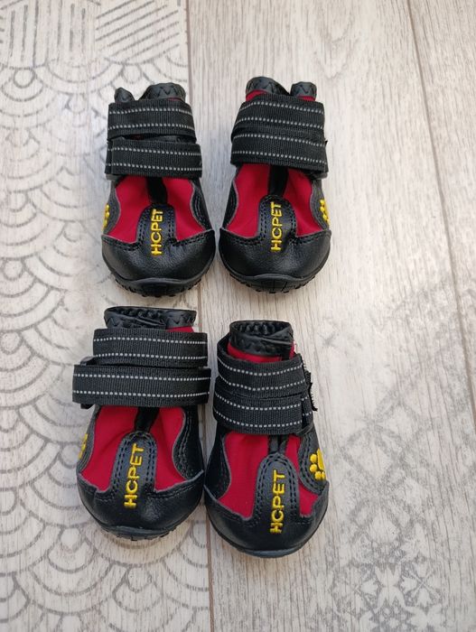 Взуття для собак