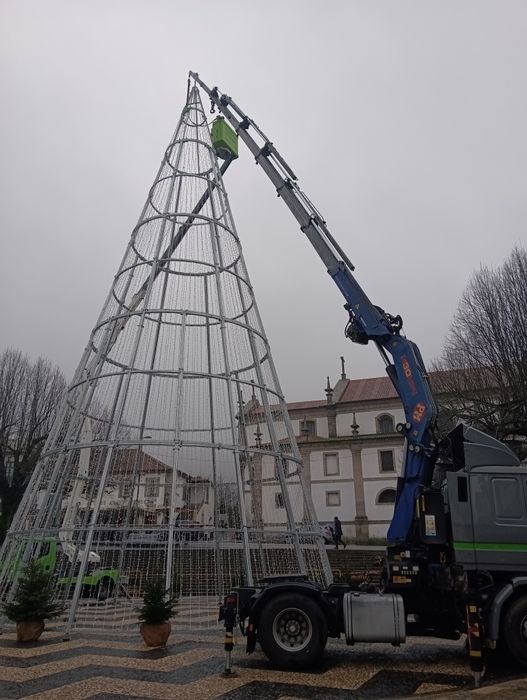 Aluguer serviço camião grua
