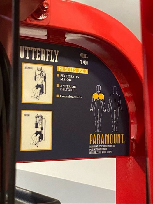 Peck Fly - paramount