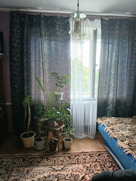Elena 53 с гарантией