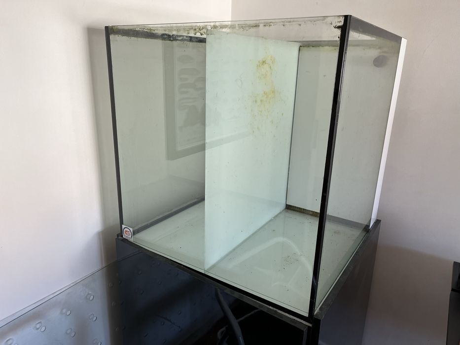 Aquario cubo 70x70x70 sump 100% silencioso  e  clean sem tubos à vista