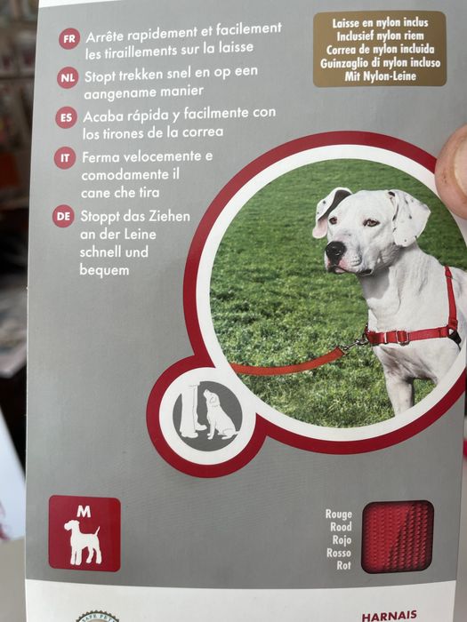 Classic display case64281951167875122