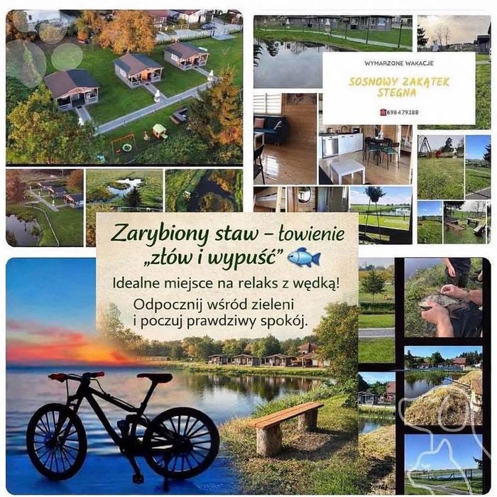 Stegna noclegi,domki   Basen ,rowery, zarybiony staw, cisza, tylko 3 domki
