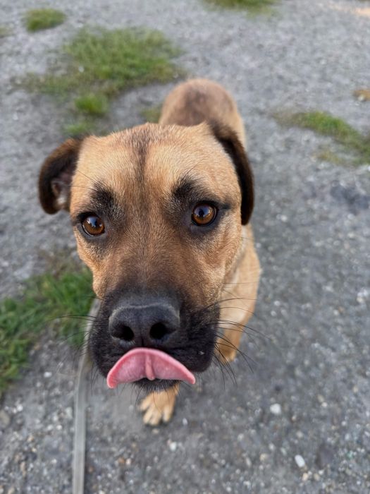 Шукаємо люблячу, відповідальну сімʼю! Хлопчик 1,5 роки