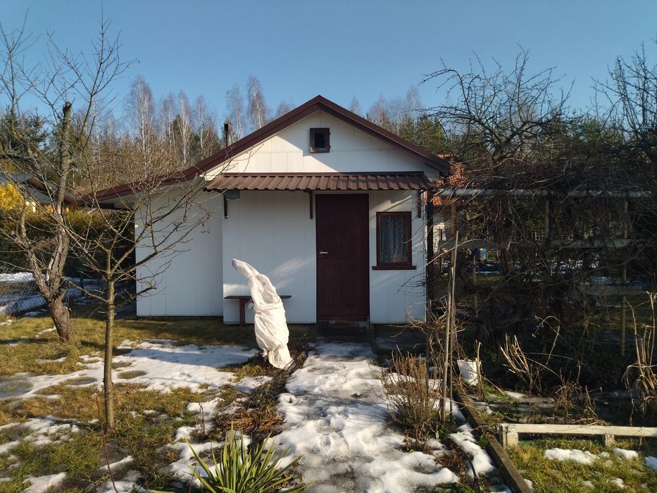 Działka ROD 42 Pułku Piechoty