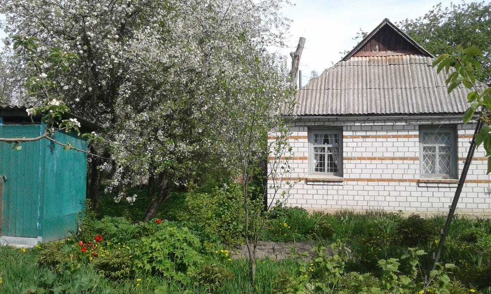 Продам будинок Київська обл.Фастівський р-н с Грузьке вул Брусилівська