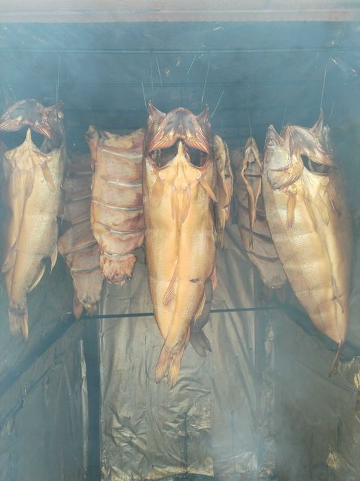 Продам копчену рибу