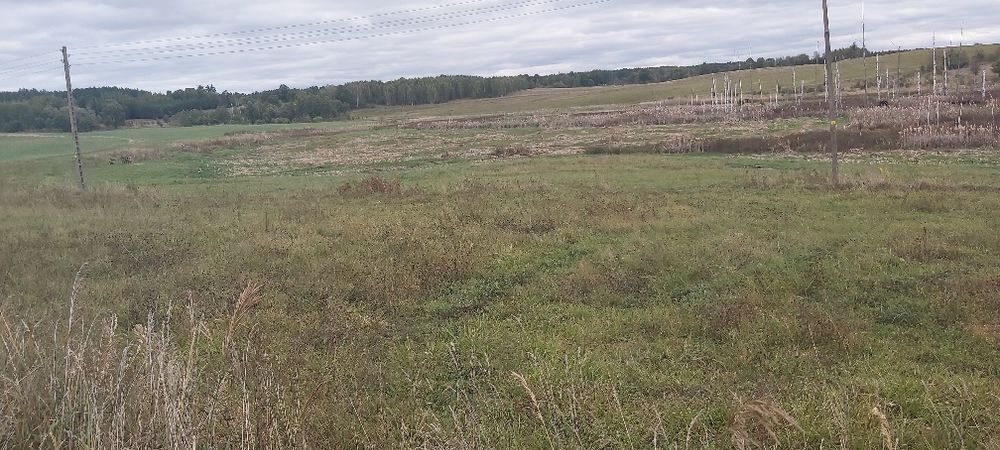 Działki na Mazurach Kuty - View 6