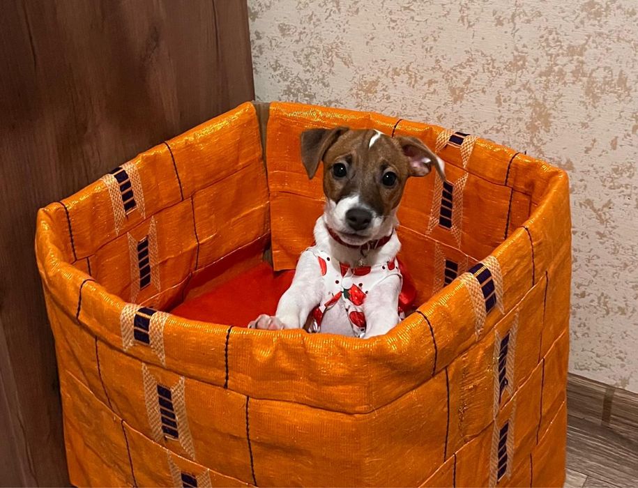 Девочка ищет маму и папу
