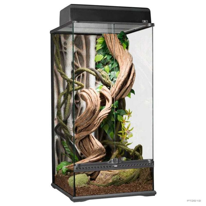 Exo Terra Terrário NOVO Small X-Tall 45x45x90