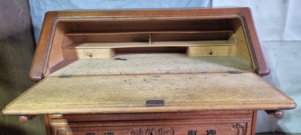 Skretarzyk Ludwikowski