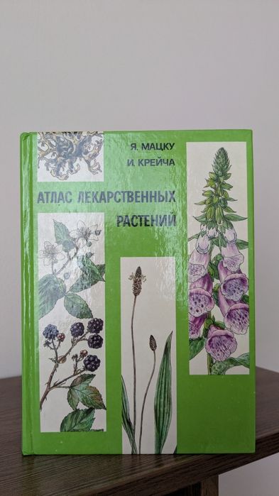 Лікарські рослини