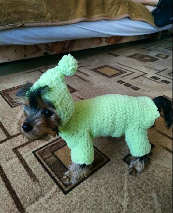 Вязаная одежда для собак, сфинксов, котов, свитера на собак