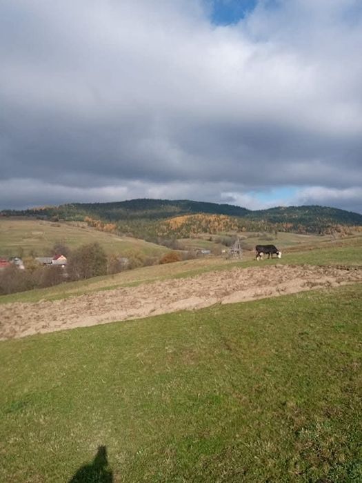 Продам землі ОCГ в Карпатах 52 сот