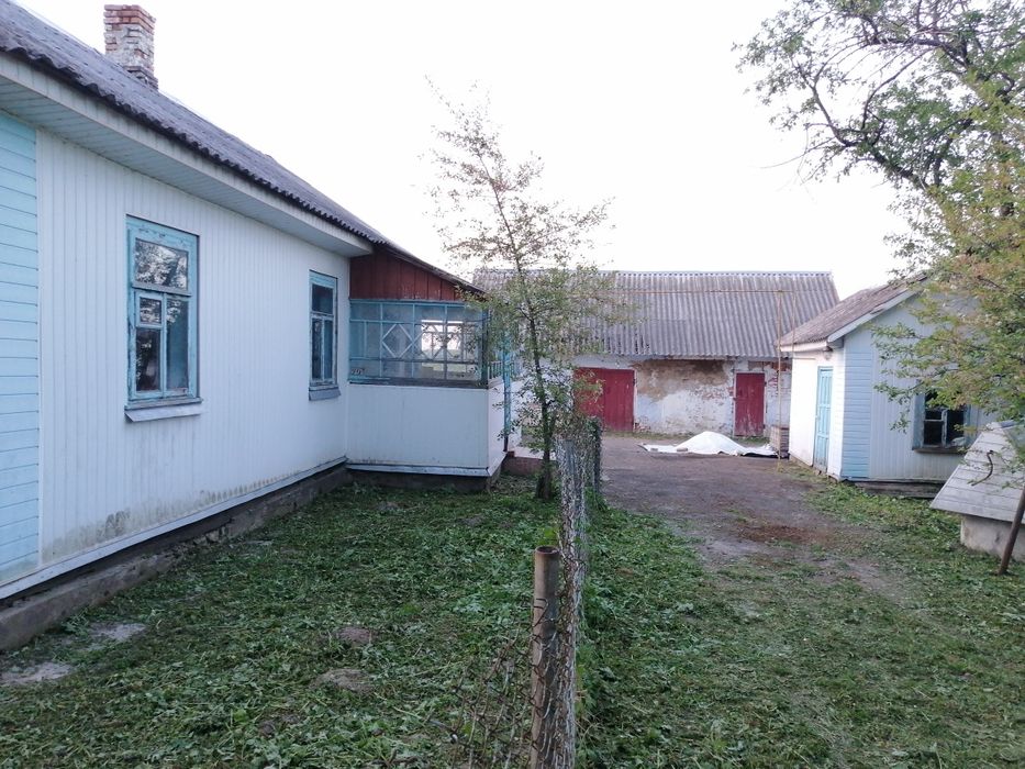 Продам будинок в селі Витків