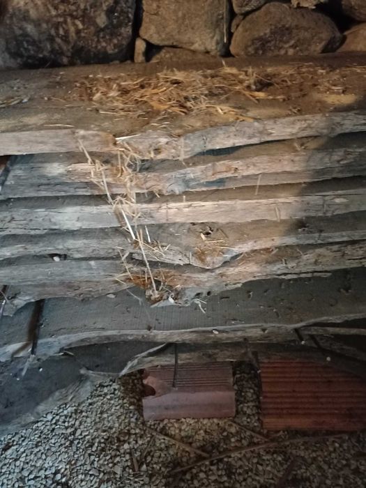 Tábuas de Carvalho Cirquinho