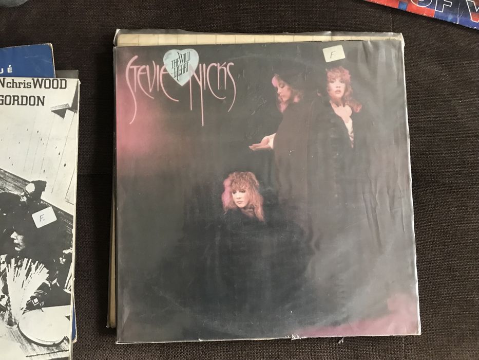 Disco Stevie Nicks