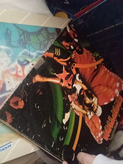 Lote de discos vinil