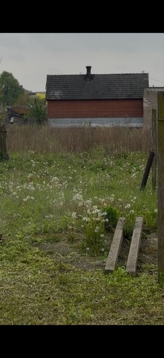 Koszenie trawy ,sprzatanie ,wycinka .
