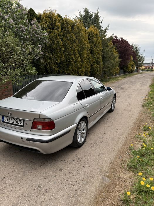 BMW E39 525 2000 Rok