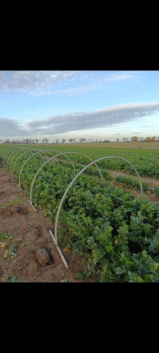 Tunel foliowy pałąki ramki budki