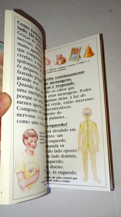 O Corpo Humano, uma maravilhosa máquina - Descobrir