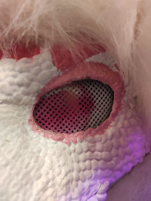 Dino maska furry