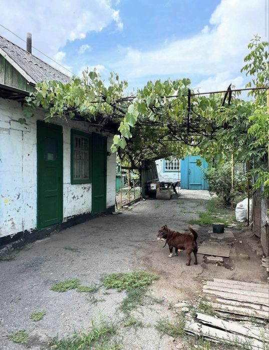 Продам дом новик