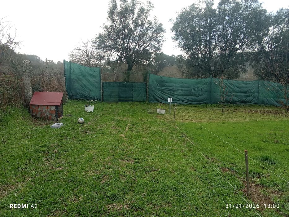 Terreno pomar 3100m2