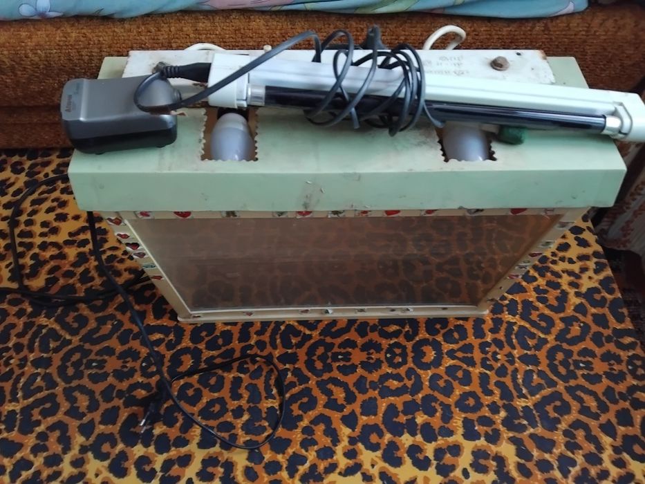 Акваріум школяра