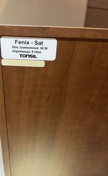 TONSIL model Fenix