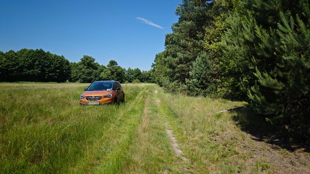 Działka 3500 m² w otoczeniu lasów – Wójcice, Jelcz-Laskowice