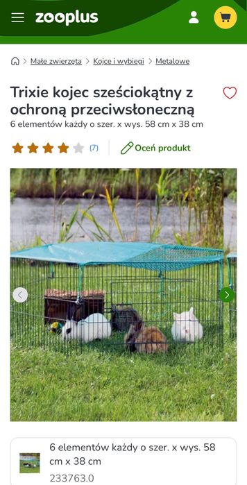 Kojec dla królika okazja tanio