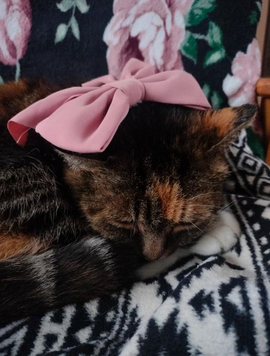 Różowa kokarda do włosów
