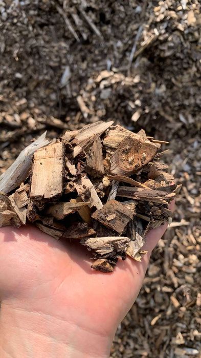 Zrębka mieszana: jabłoń, dąb, głóg, olcha cena za m3