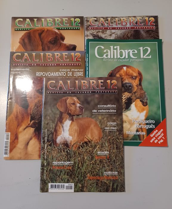 Lote de revistas Calibre 12 e catálogos de armas de caça