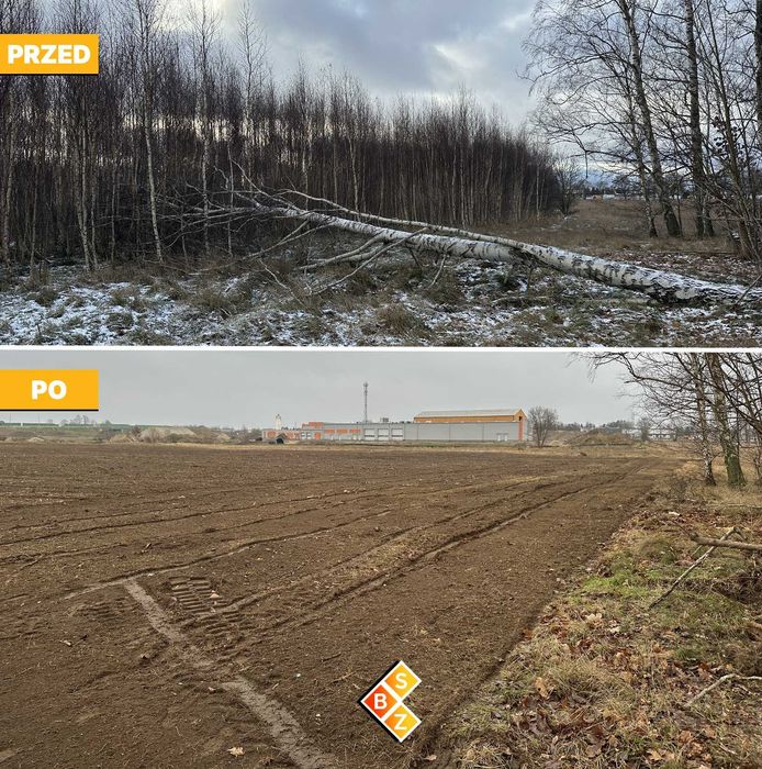 Porządkowanie Działek, Wycinka Drzew, Karczowanie, Mulczowanie terenu